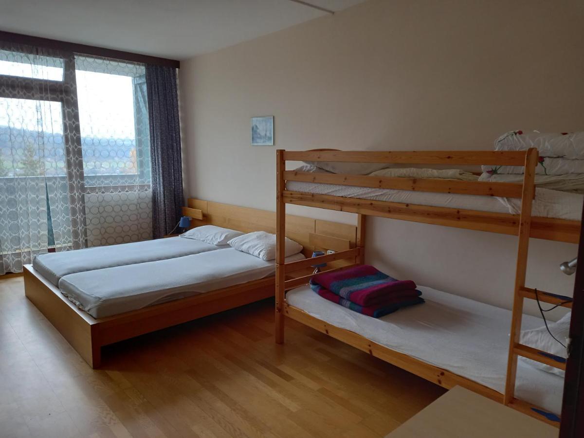 Panoramis Apartment In שלאדמינג מראה חיצוני תמונה